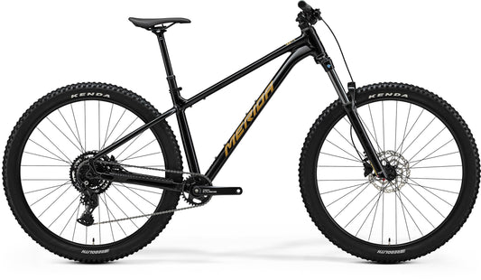Big Trail 300
