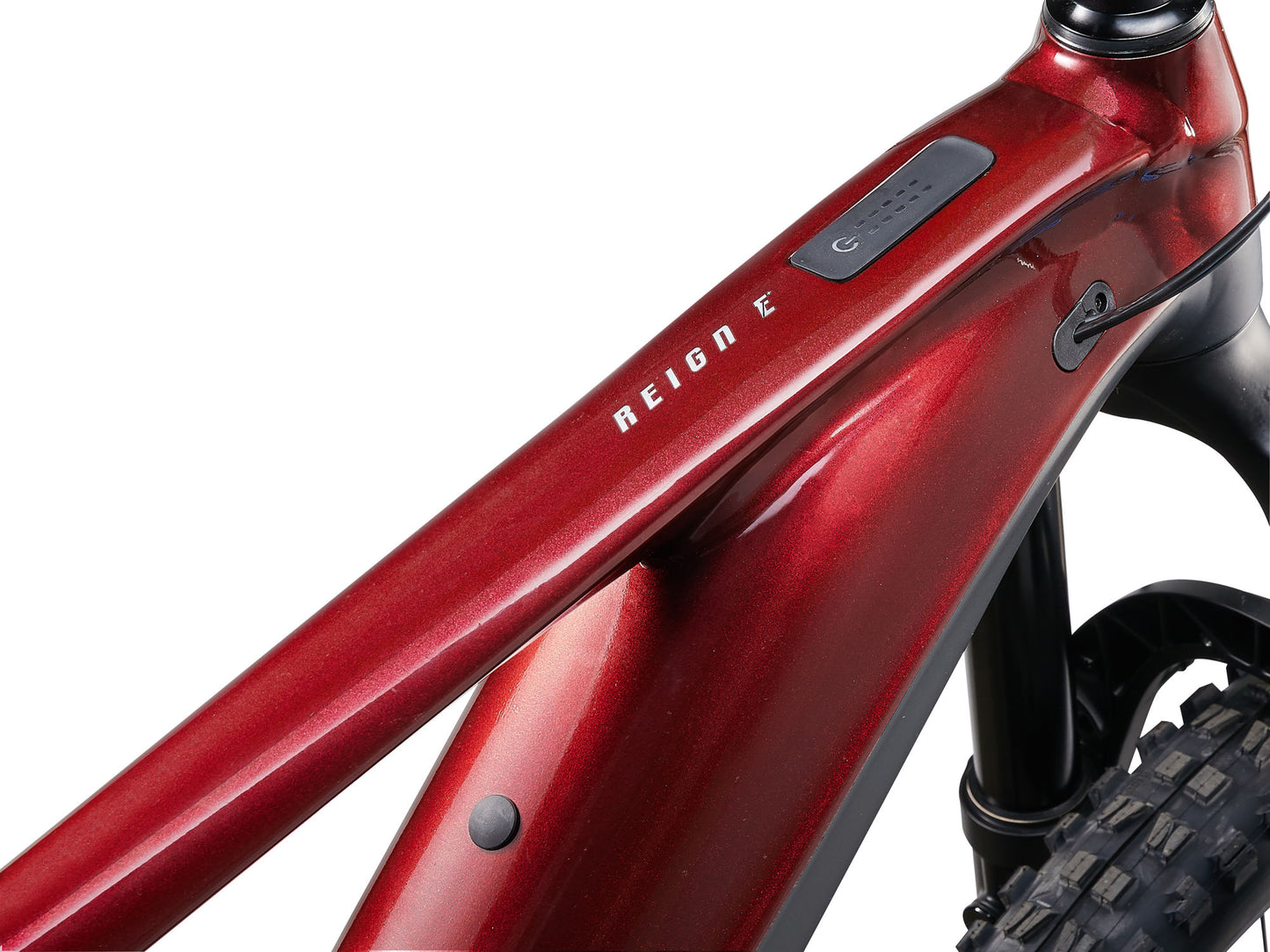 Giant Reign E+ 2 (2024)