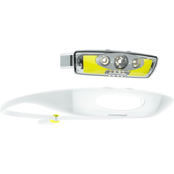 Bandicoot Run Light 250 Head Torch