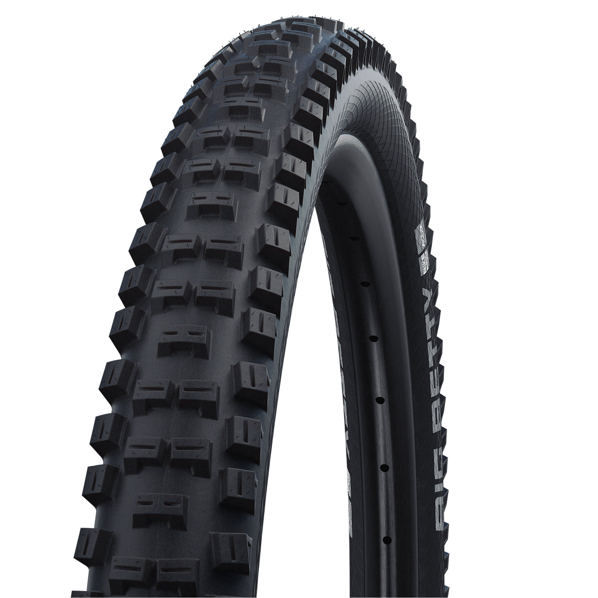 Schwalbe Addix Big Betty Performance Bikepark Tyre In Black (Wired)