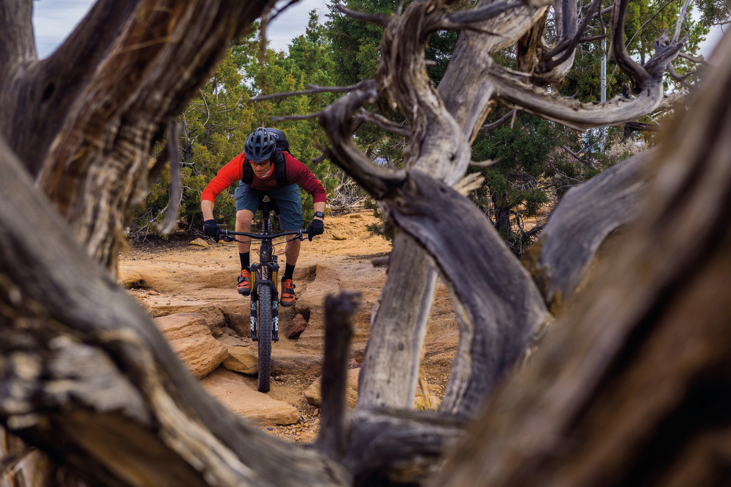 ABUS Moventor 2.0 MIPS MTB Helmet in Velvet Black