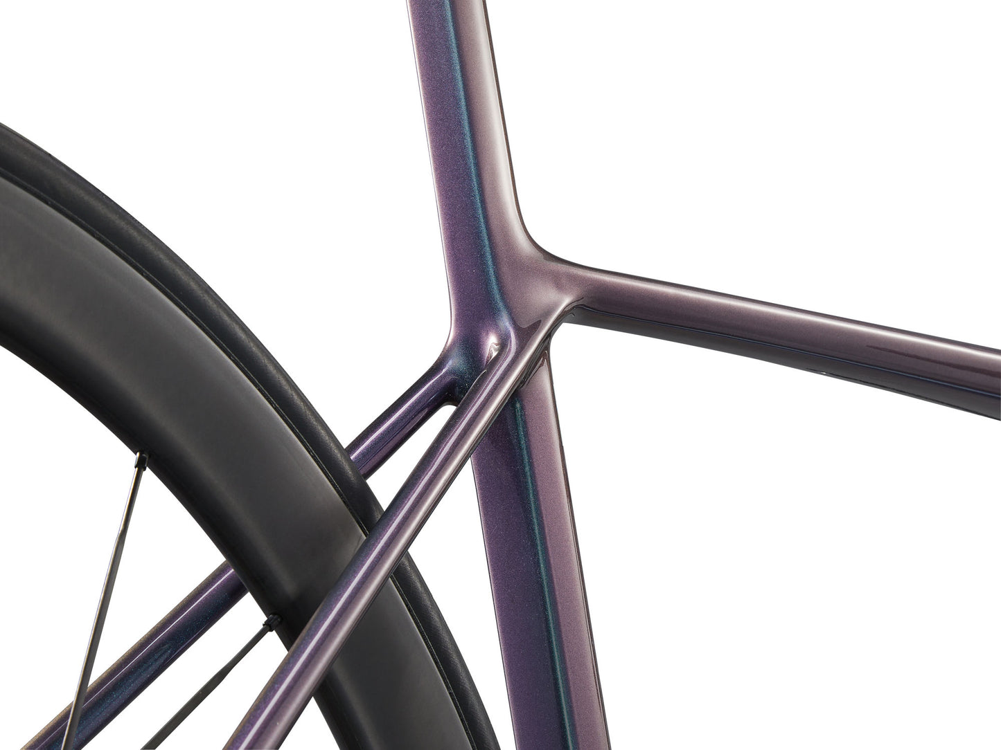 TCR Advanced SL 1 (2025)