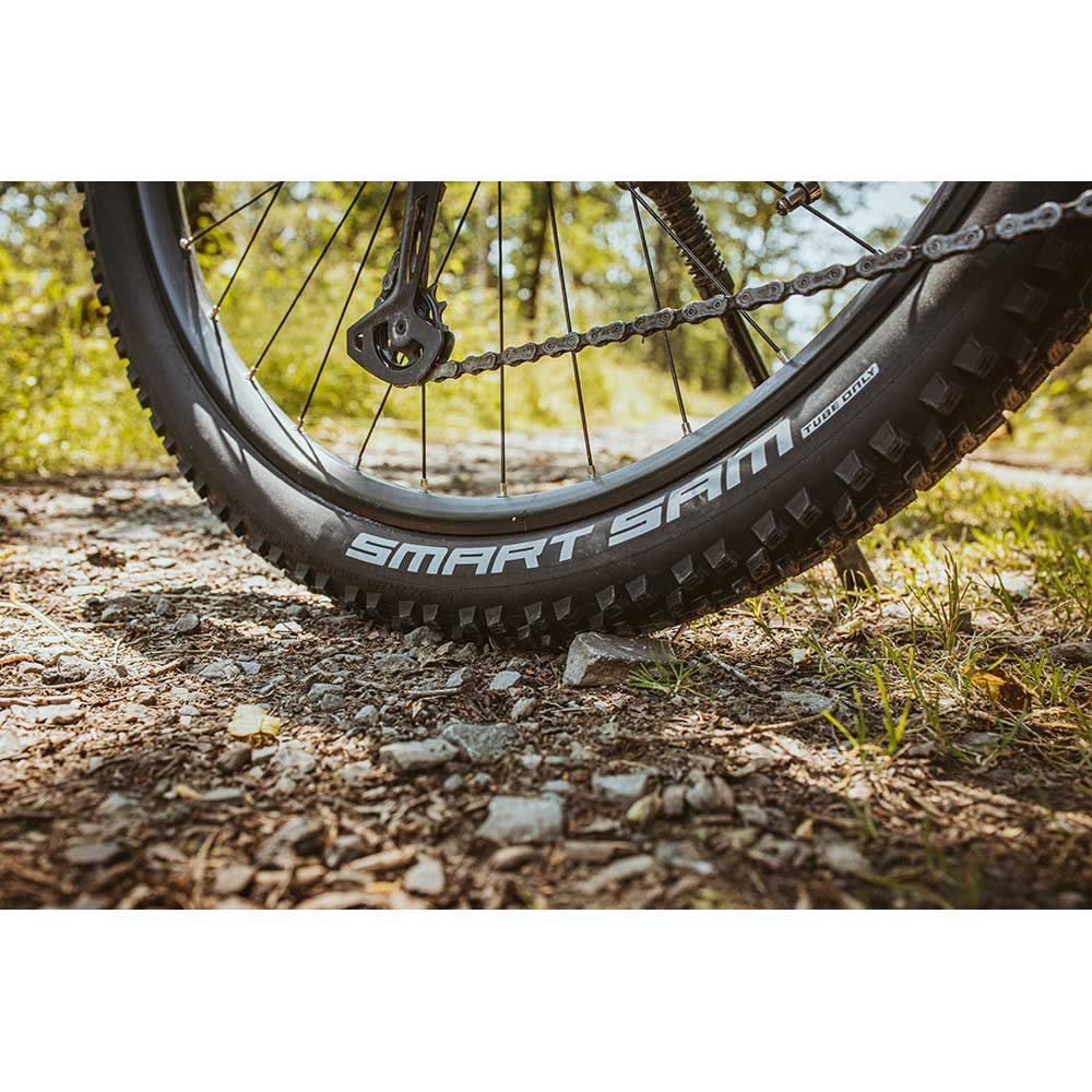 Smart Sam Dd Raceguard Folding Schwalbe