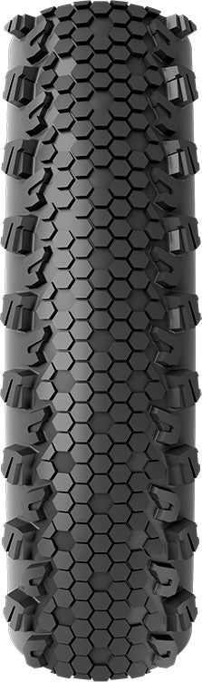 Terreno Dry Tyre Vittoria