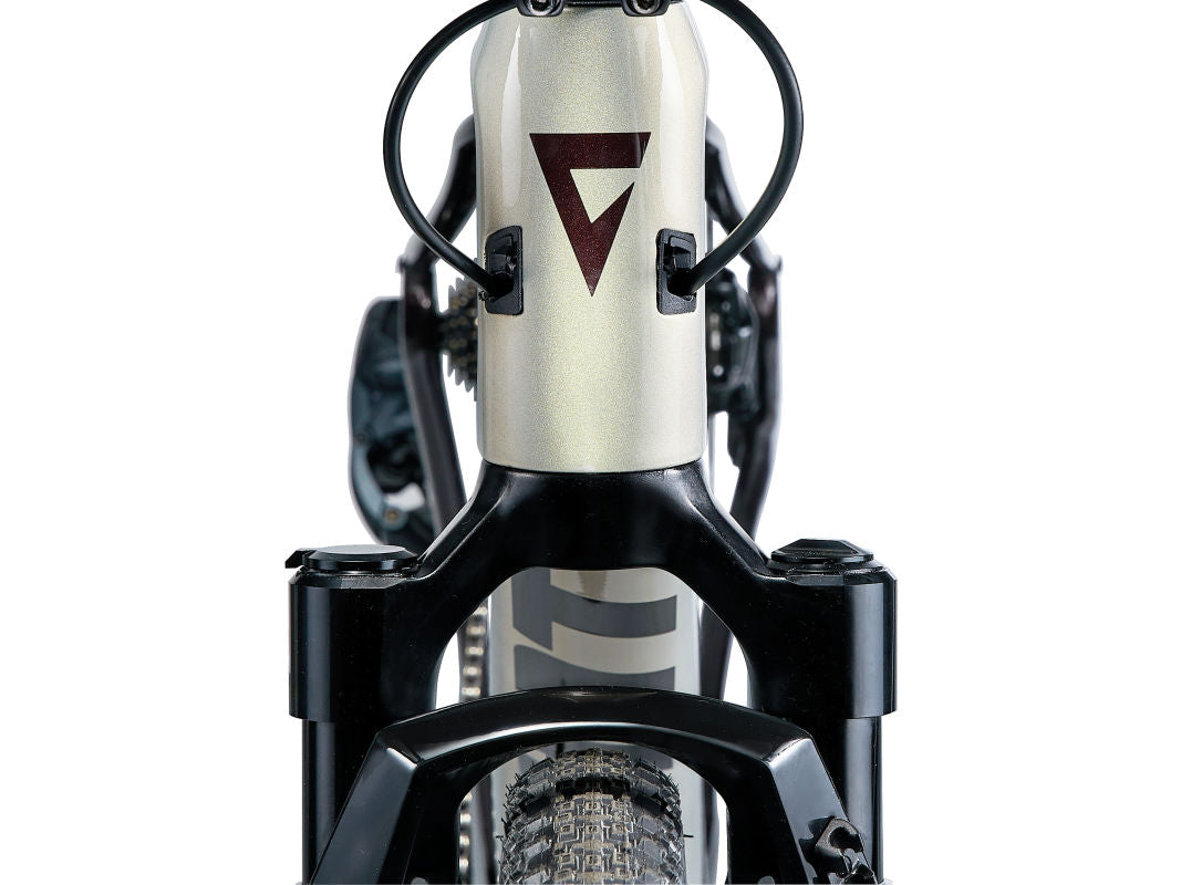 Giant Revolt X Advanced Pro 1 (2024)