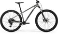 Big Trail 200