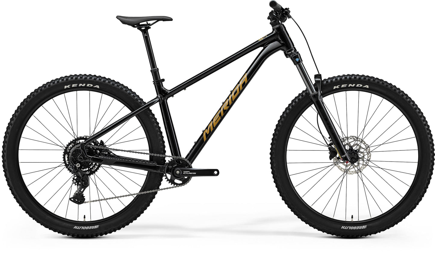 Big Trail 300