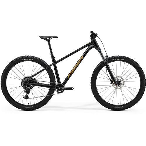 Big Trail 300 - Black (Brown) - MY26
