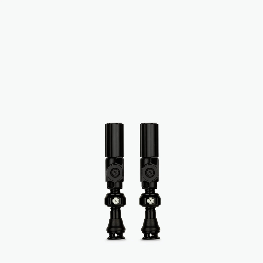 Big Bore Hybrid Tubeless Valves - Small (30mm)