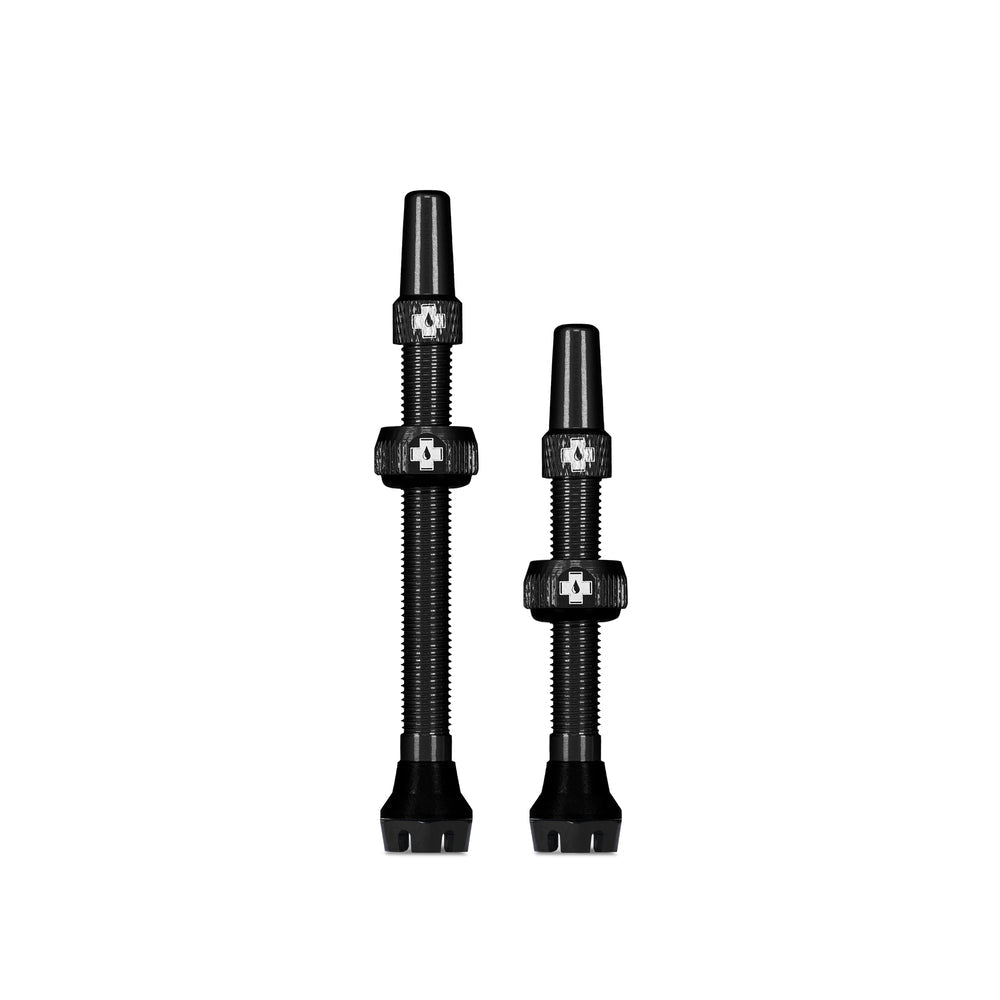 Tubeless Valves/Bosch EBike/V2