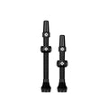 Tubeless Valves/Bosch EBike/V2