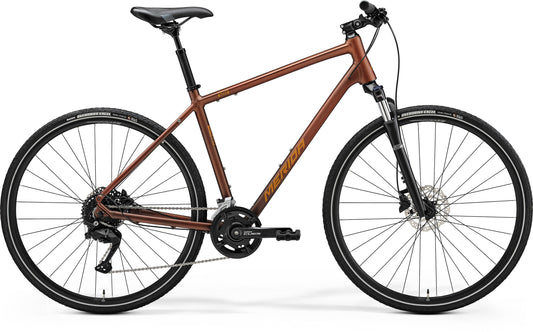 Crossway 100