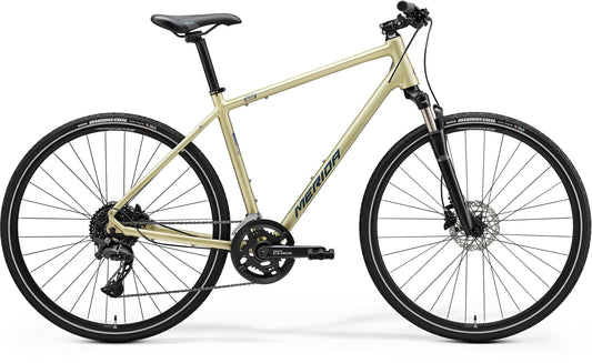 Crossway 300