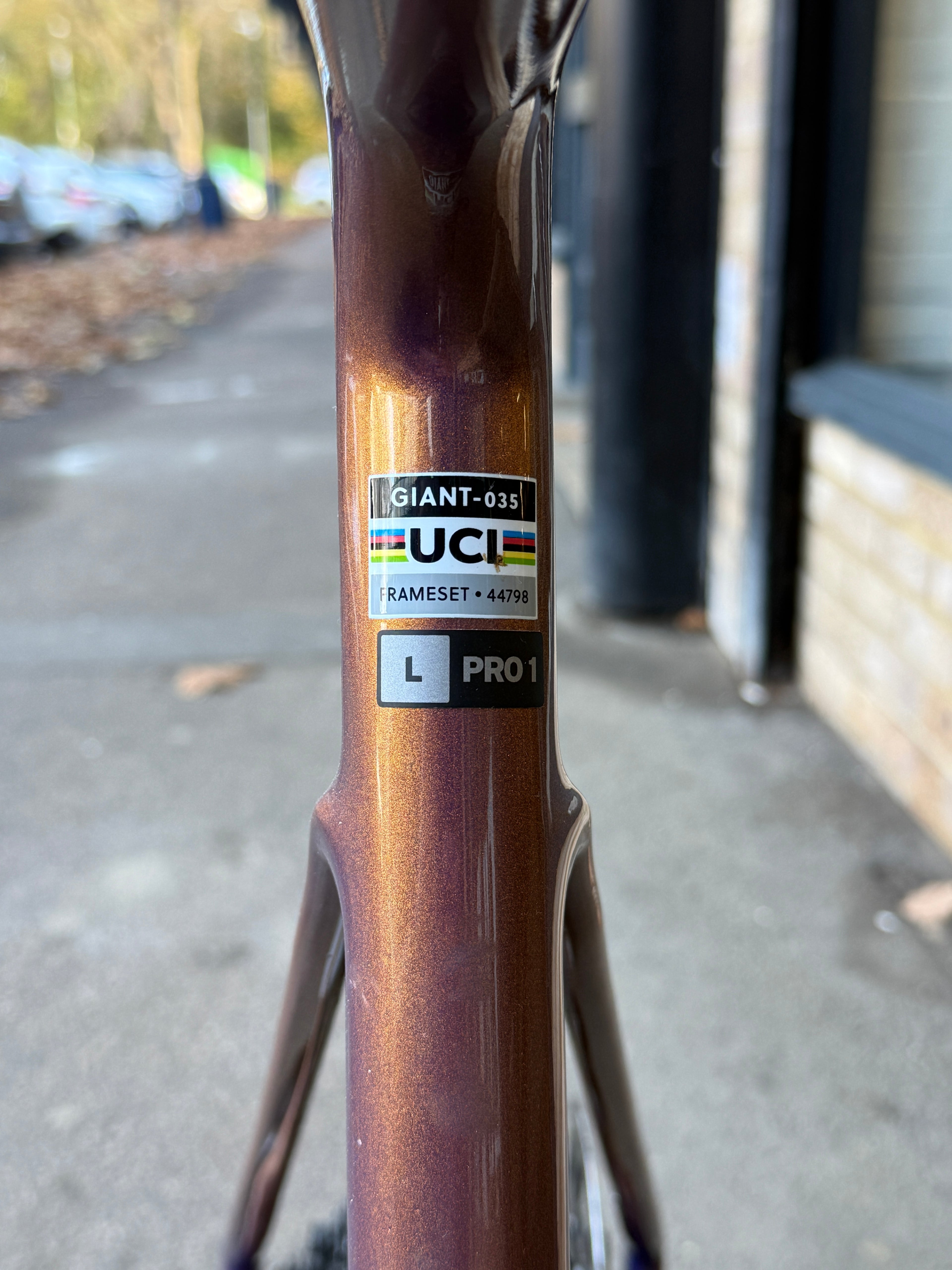 Giant Defy (2025) Advanced Pro 1 - Large