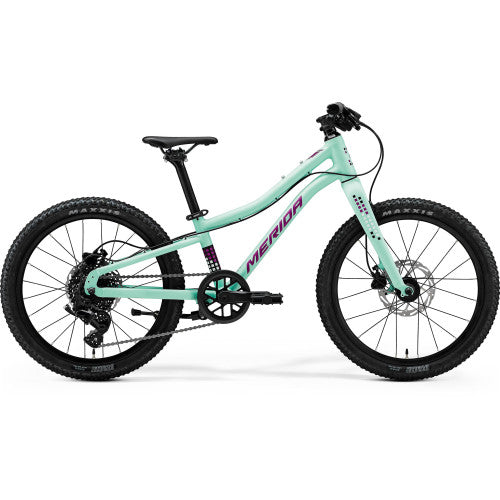 Matts J.20+ - Matt Mint (Purple/White/Black)