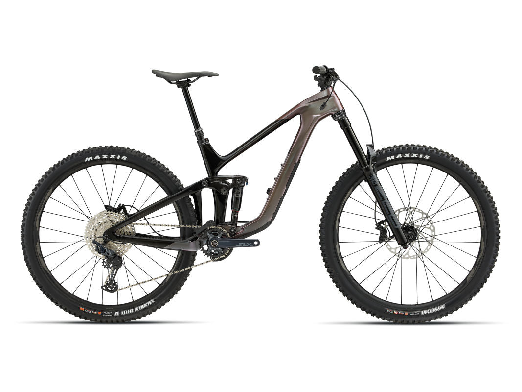 Reign Advanced Pro 2 (2023)
