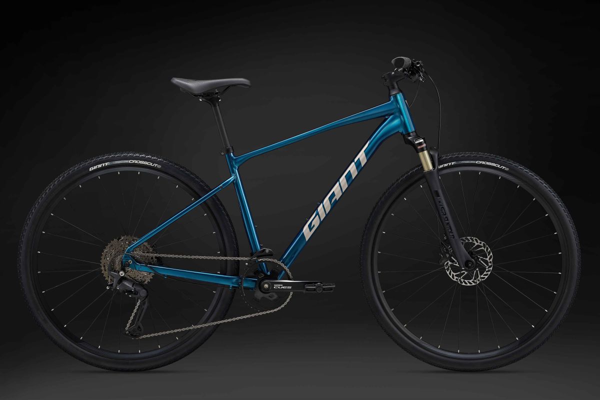 Roam Disc 0 (2024)