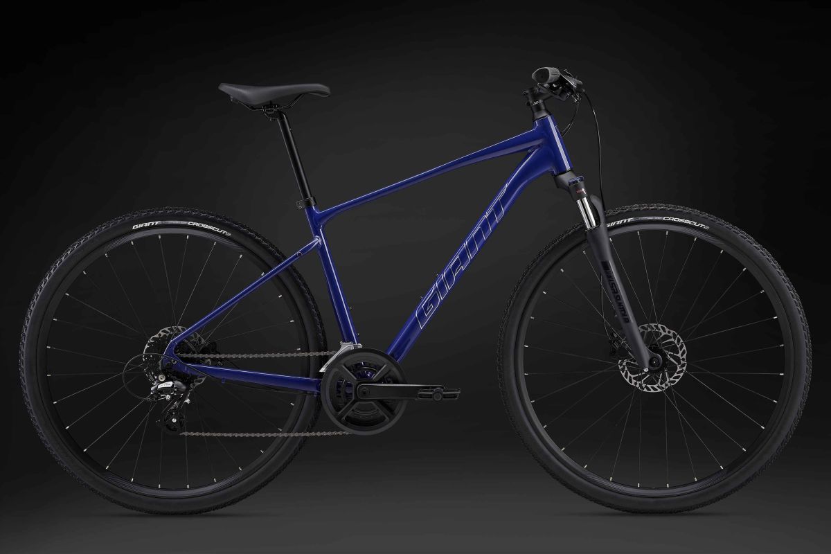 Roam Disc 3 (2024)