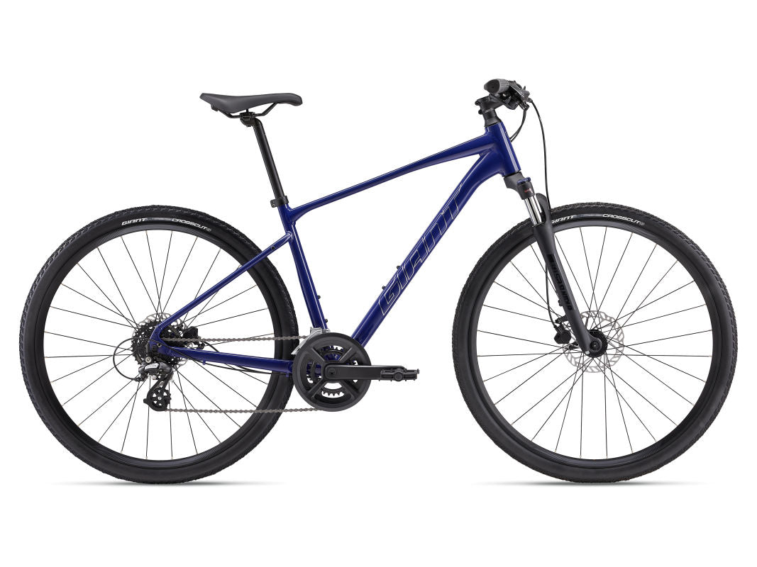 Roam Disc 3 (2024)
