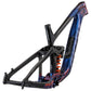 Reign Advanced Frameset (2025)