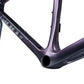 TCR Advanced Pro Frameset (2025)
