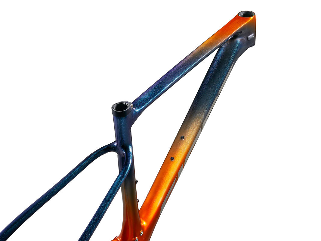 XTC Advanced SL 29 Frameset (2025)