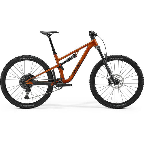 One-Forty 400 - Wild Honey (Golden Black) - MY26