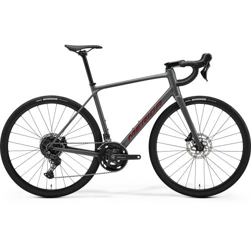 Scultura Endurance 300 - Silk Cool Grey (Red) - MY26