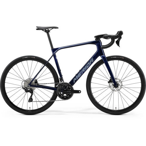 Scultura Endurance 4000 - Starfield Purple (Silver) - MY26