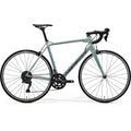 Scultura Rim 100 - Blue/Green Clear Coat (Silver) - MY26
