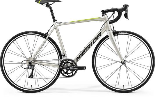 Scultura Rim 100