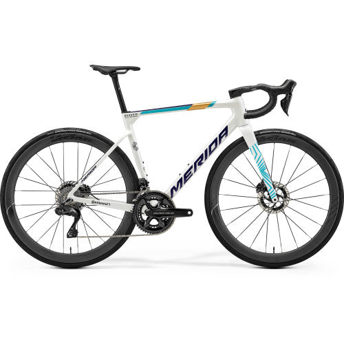 Scultura Team - Teal/Pearl (Team) - MY26