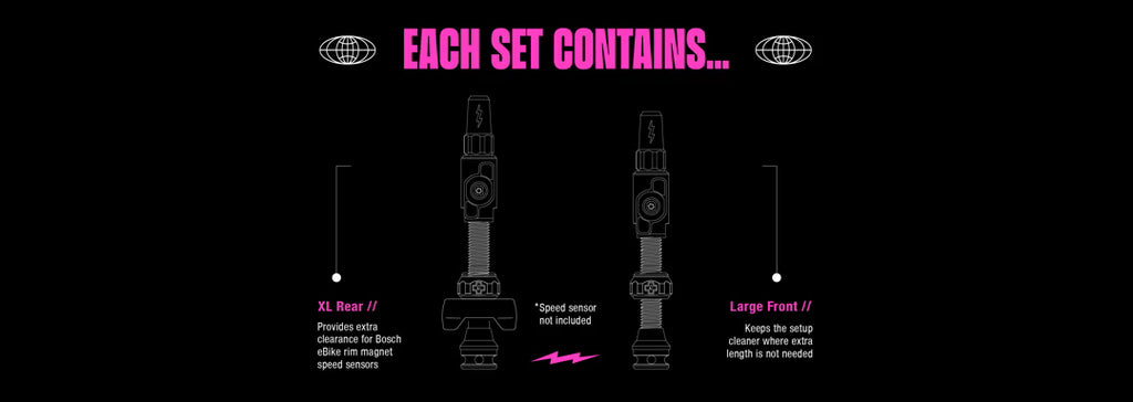Big Bore Lite Tubeless Valves - Bosch EBike (Large + XL)