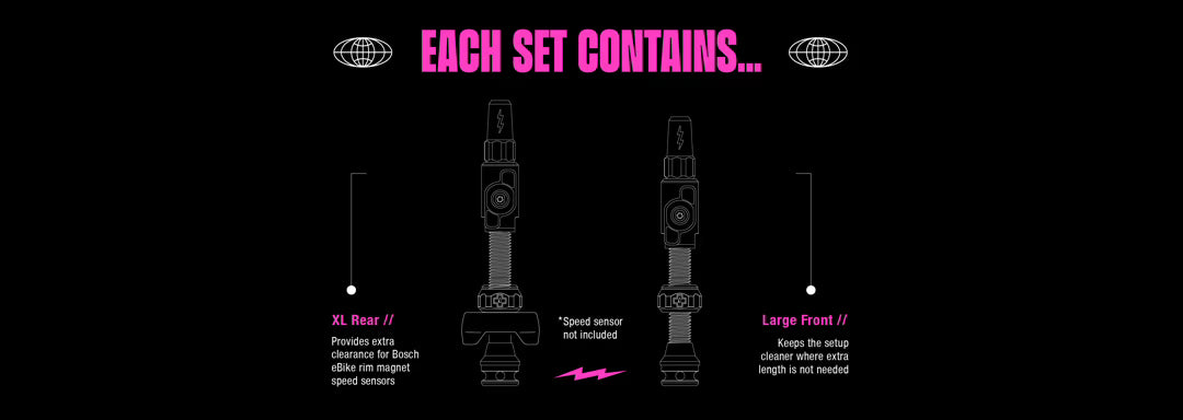 Big Bore Lite Tubeless Valves - Bosch EBike (Large + XL)