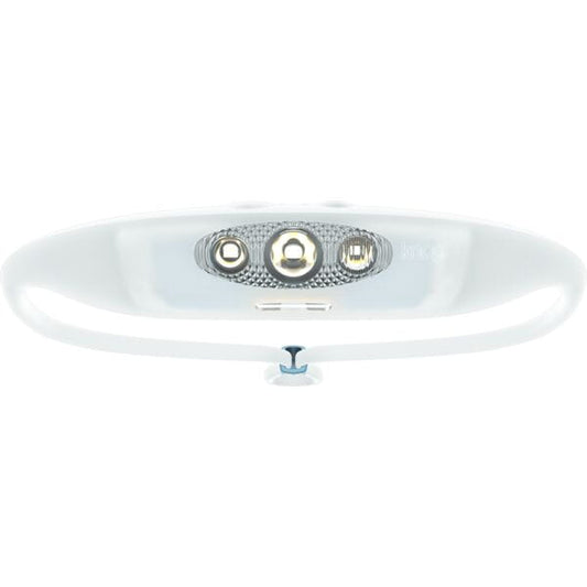 Bandicoot Run Light 250 Head Torch