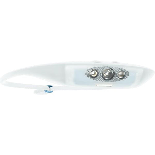Bandicoot Run Light 250 Head Torch
