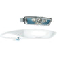Bandicoot Run Light 250 Head Torch