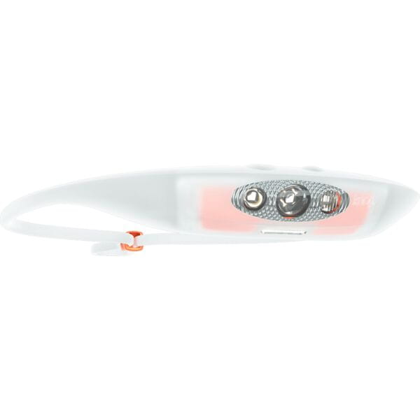 Bandicoot Run Light 250 Head Torch
