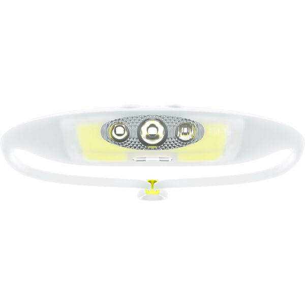 Bandicoot Run Light 250 Head Torch