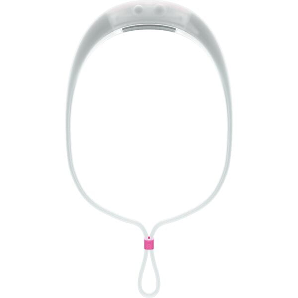 Bandicoot Run Light 250 Head Torch
