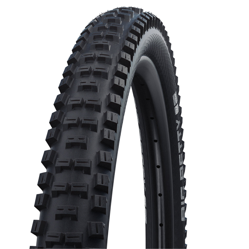 Schwalbe Addix Big Betty Performance BikePark Tyre in Black (Wired)