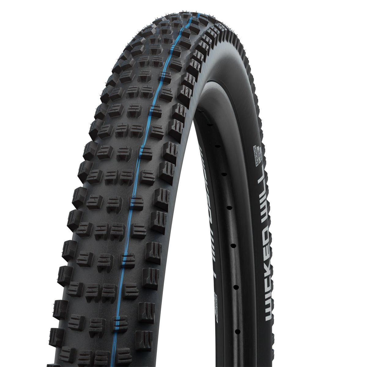 Schwalbe Wicked Will Addix Speedgrip Super Ground Tle Evolution Tyre In Black (Folding)