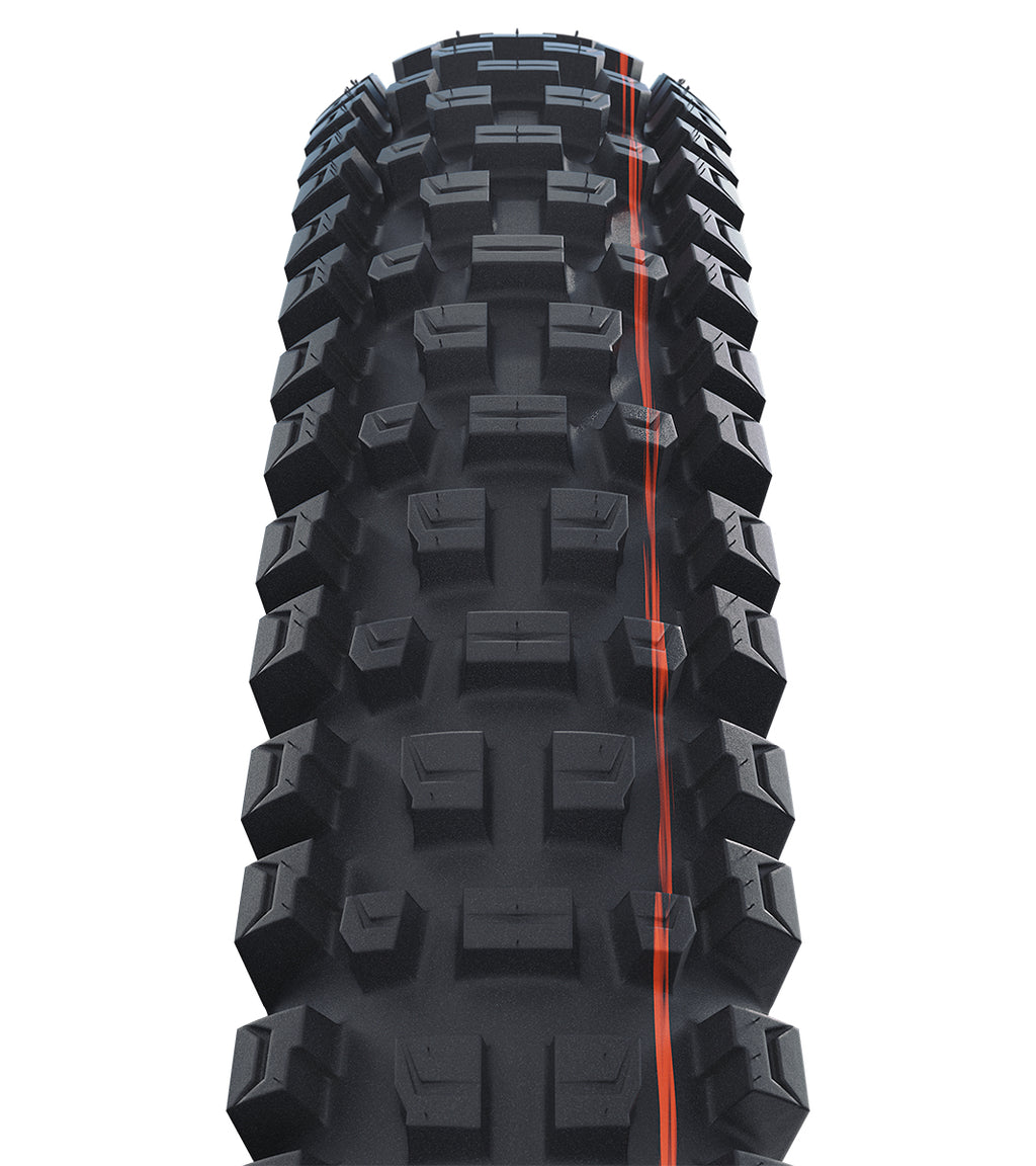 Schwalbe Albert Trail Pro Radial Soft MTB Tyre in Black (Fold)