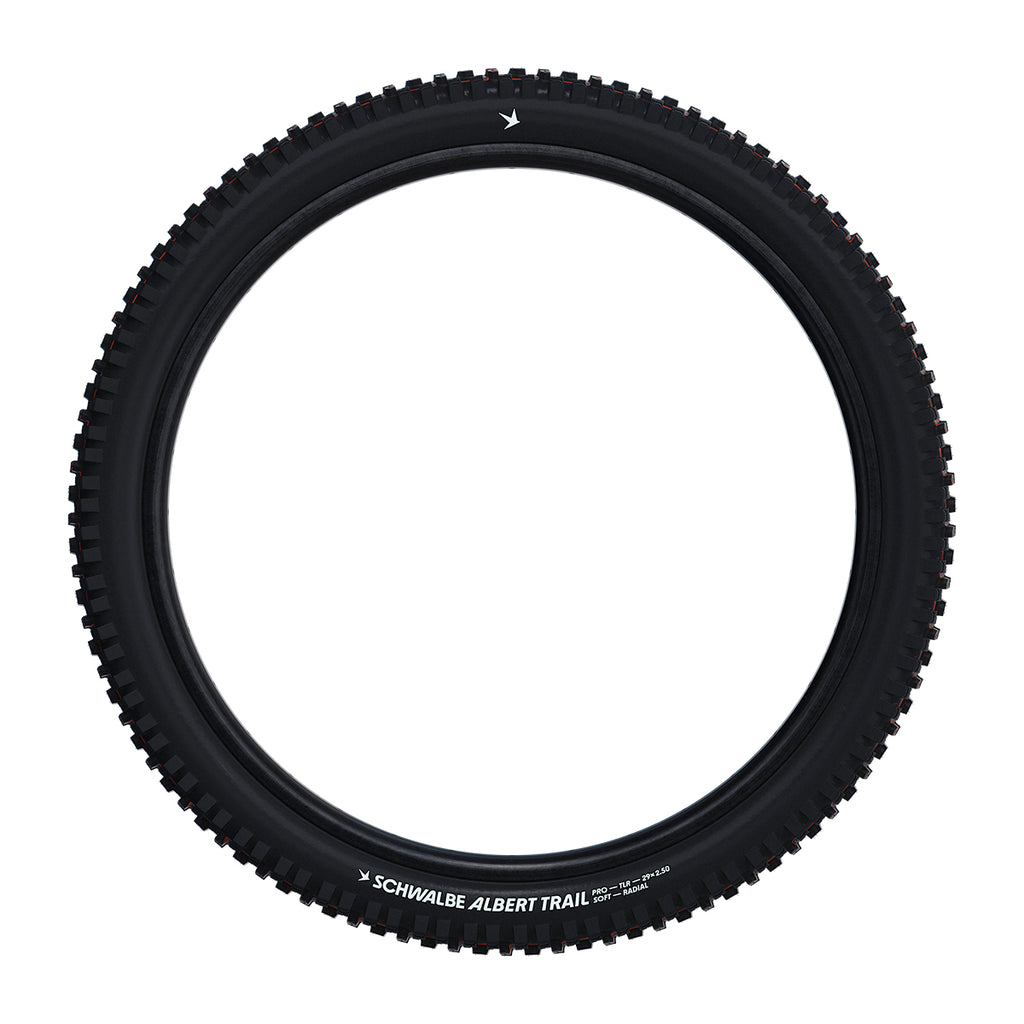 Schwalbe Albert Trail Pro Radial Soft MTB Tyre in Black (Fold)