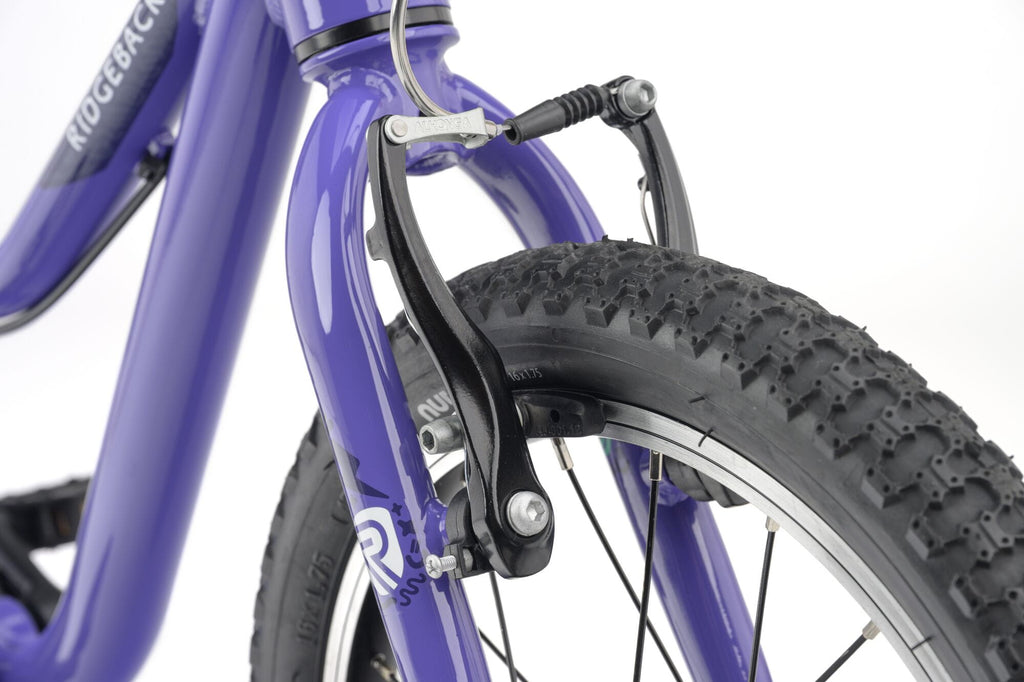 Ridgeback MX16