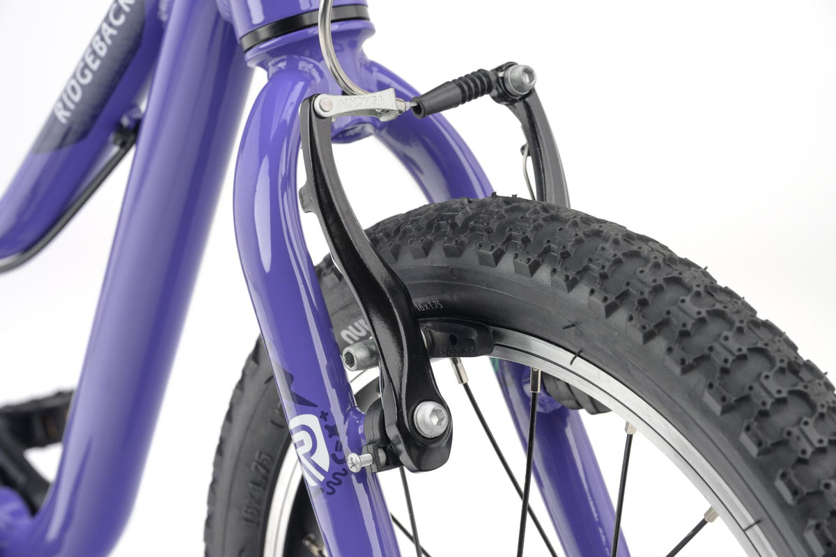 Ridgeback MX16