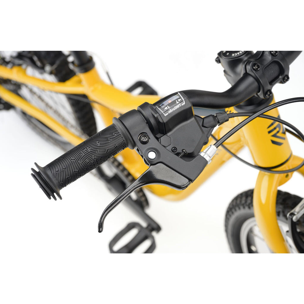 Ridgeback MX20