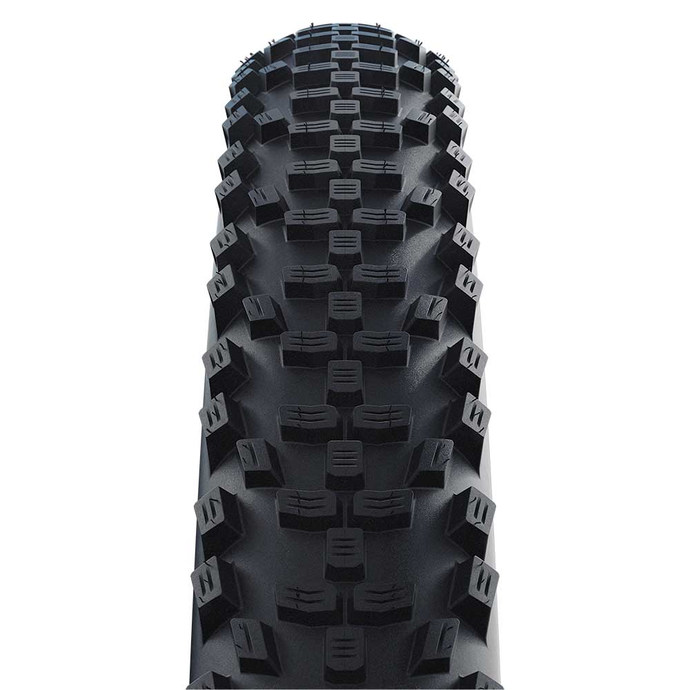 Smart Sam Performance Schwalbe