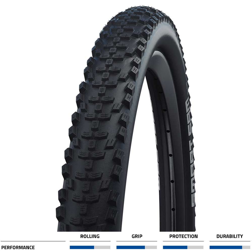 Smart Sam Performance Schwalbe