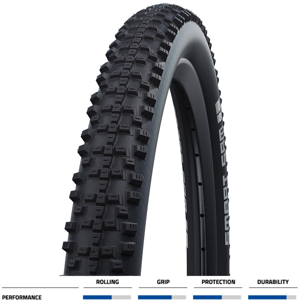 Smart Sam Performance E-25 Schwalbe